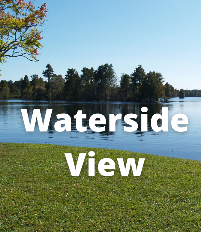 Waterside View