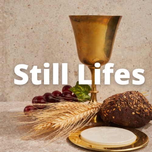 Still Lifes