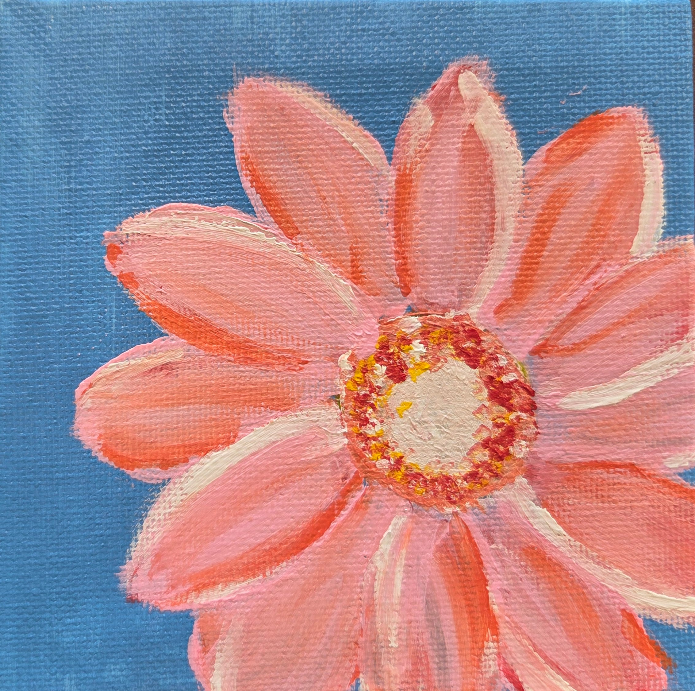 "Pretty in Pink" by Ali A.