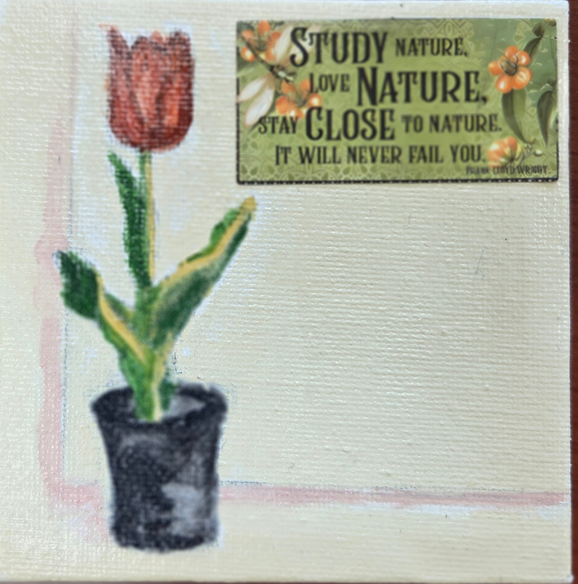 "Tulip" by Darlene G.