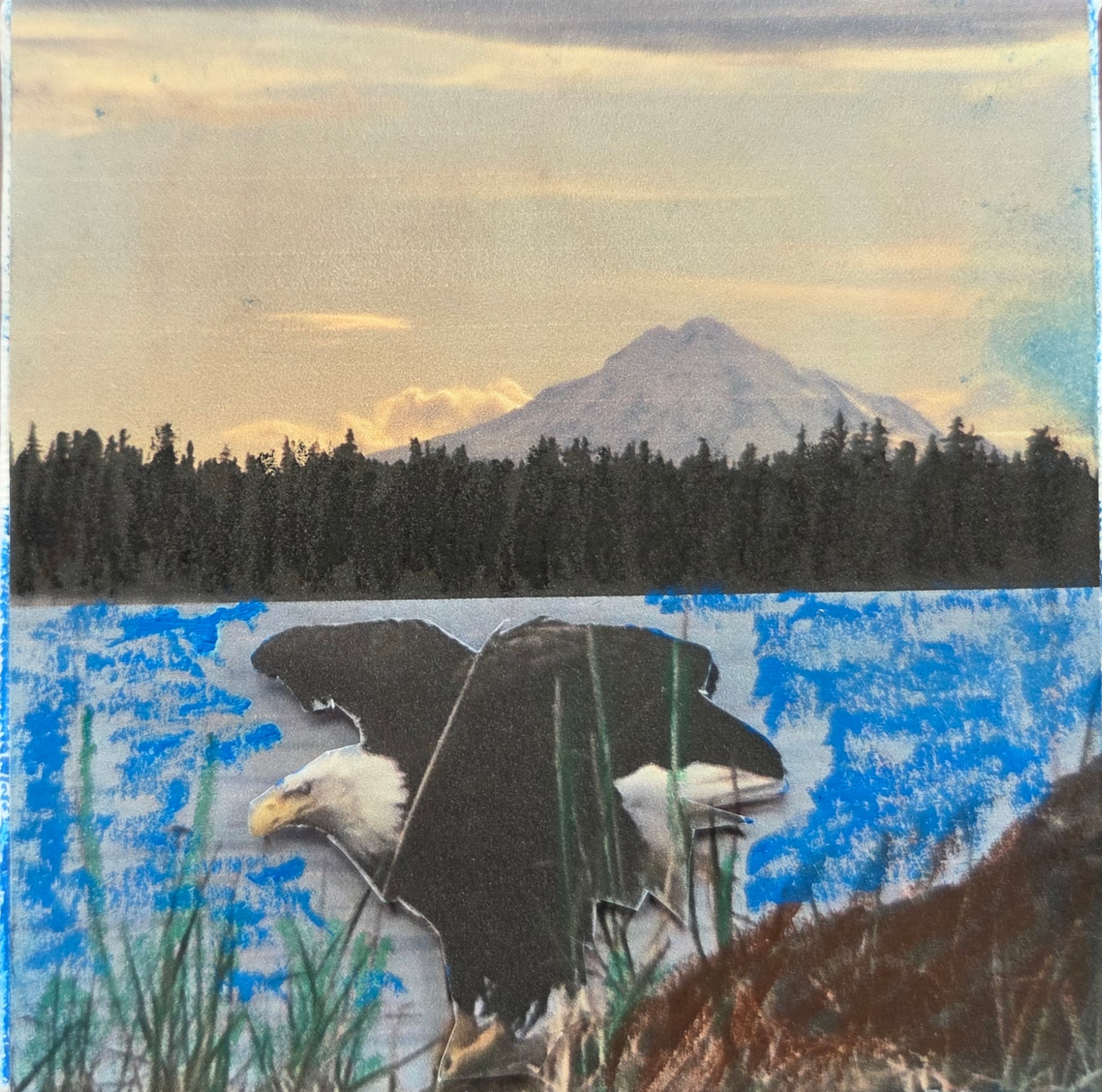 "Alaskan Magic" by Charlene