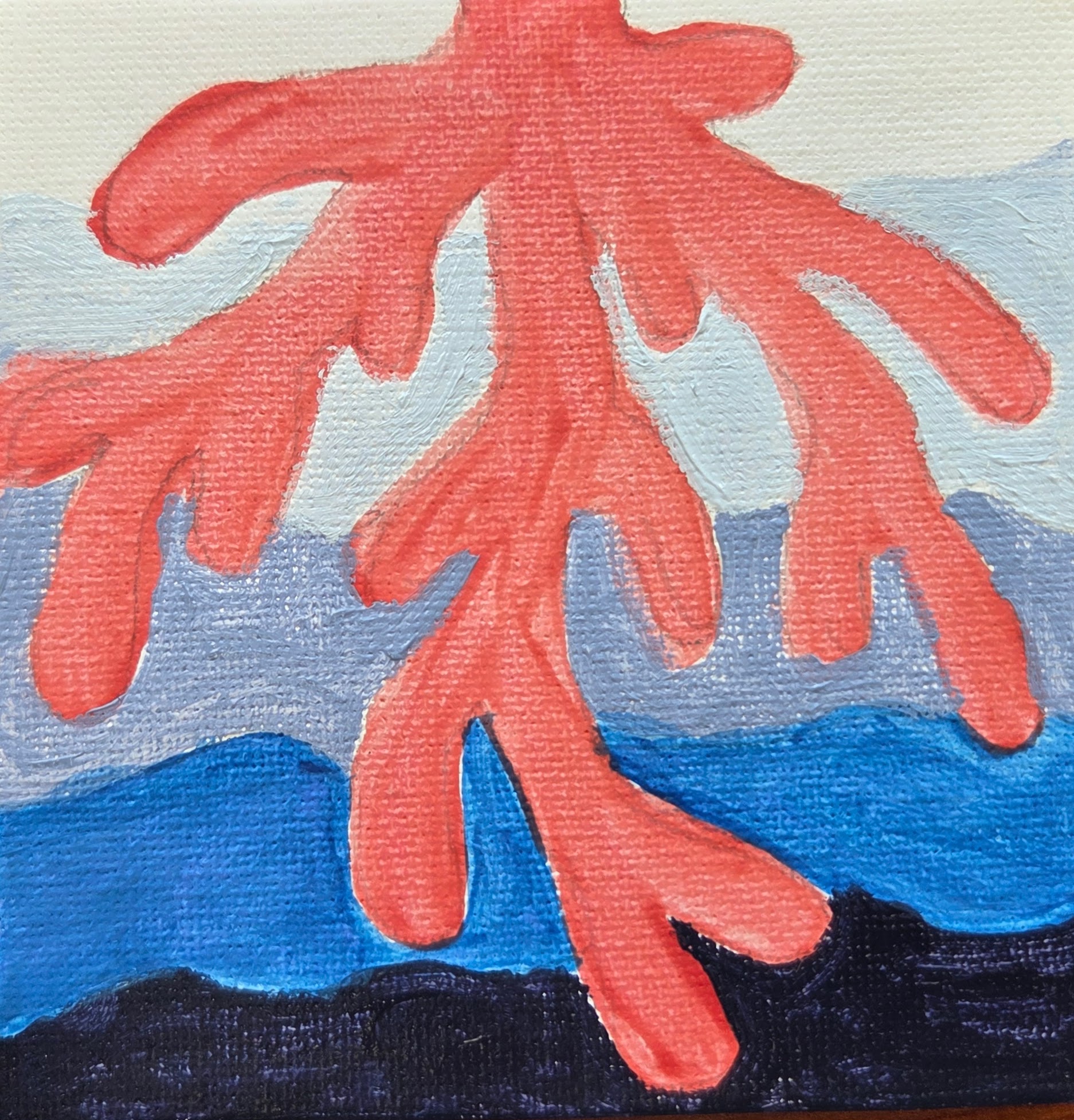 "Coral Friend" by Rebecca