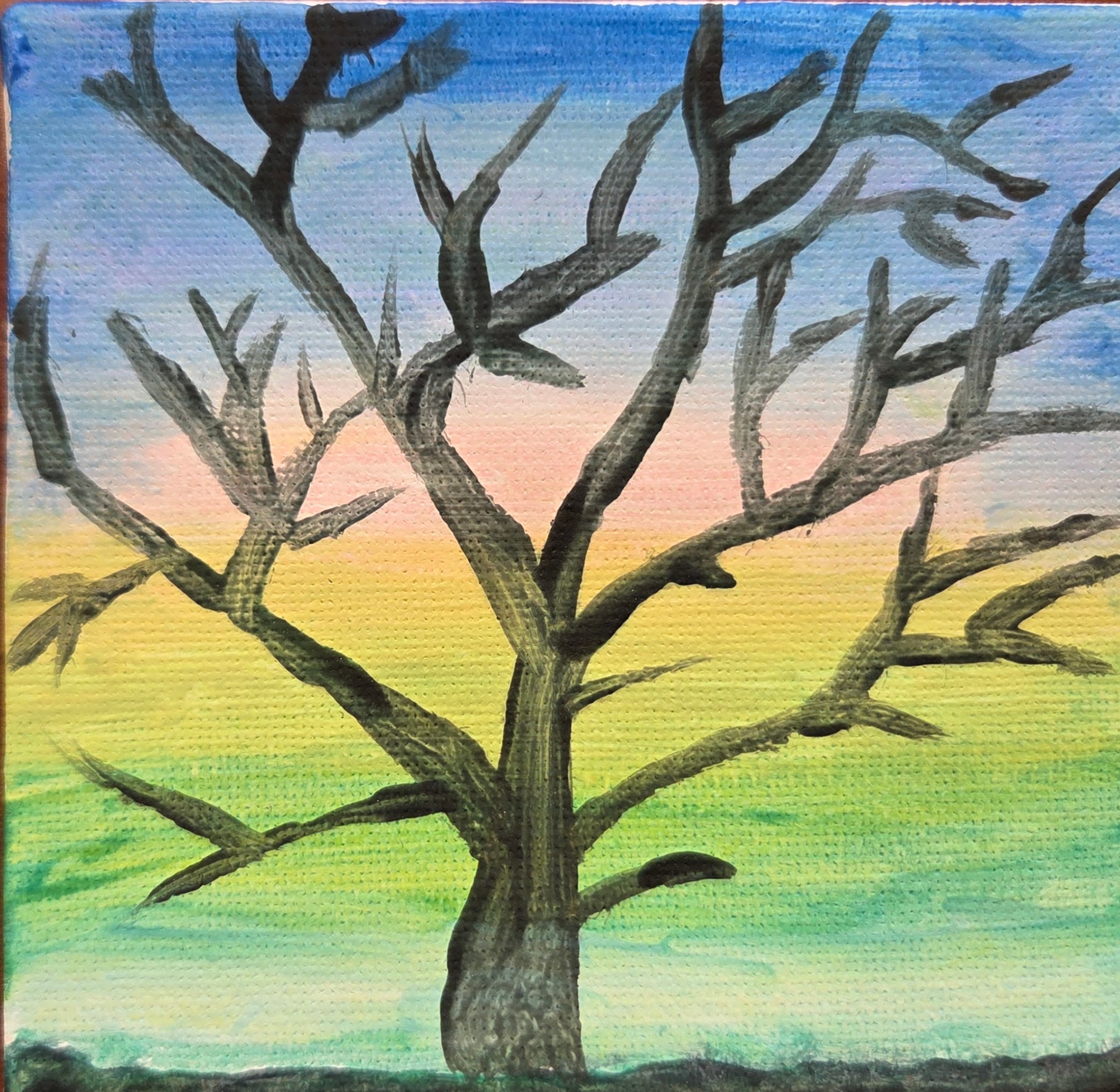 "Sun Through the Branches" by Valerie H.